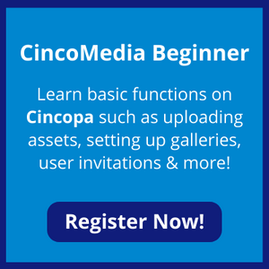CincoMedia Beginner (19)